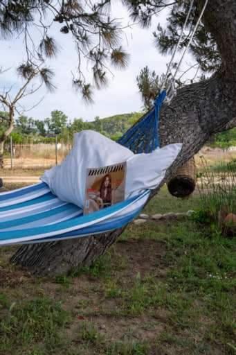 Malama Sykia Chalkidikis